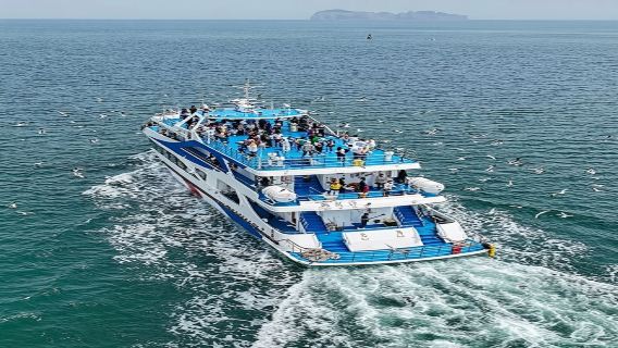 威海/榮成一日遊包車（行程自由）