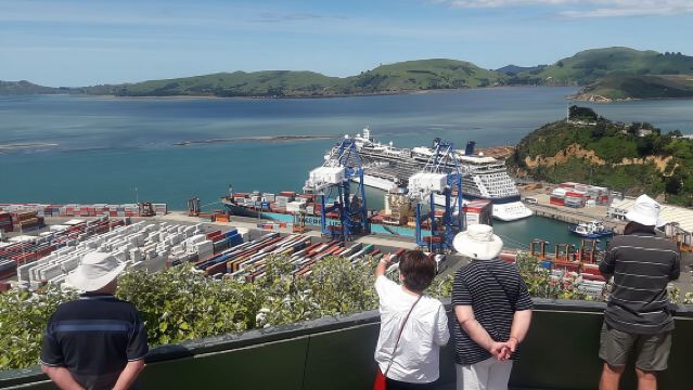 Dunedin Nature & City Tour – Full Day Cruise Excursion