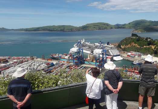 Dunedin Nature & City Tour – Full Day Cruise Excursion