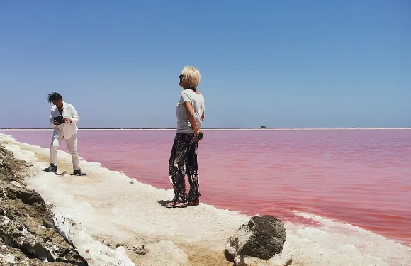 三明治港 4X4 越野探險之旅 餐飲