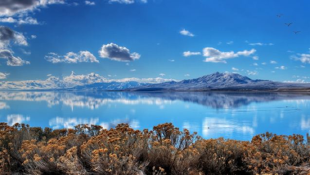 Excursion à la journée au Grand Lac Salé et à l'île d'Antelope