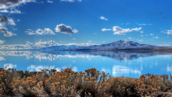 Excursión de un día al Gran Lago Salado y la Isla Antílope