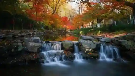 上海出發一日遊:杭州九溪十八澗健行深呼吸之旅