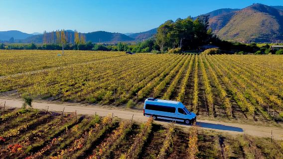 Tour 1 ngày Valparaiso (Đồng hồ hoa) + Vina Del Mar | Khứ hồi từ Santiago