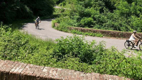 Lucca: La pista ciclabile Puccini e il tour del lago di Massaciuccoli
