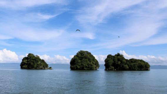 Samana: Los Haitises-Kajaks- und Caño-Hondo-Pools-Tour mit Mittagessen