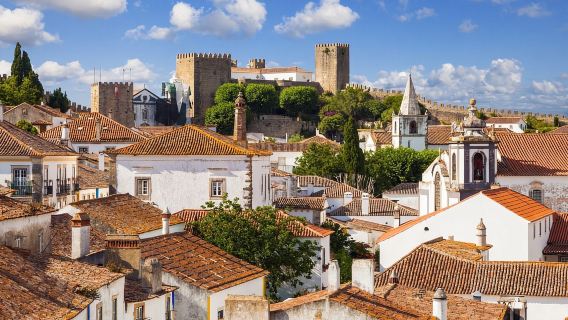 Private Tour Lisbon:Pena Palace, Sintra+Obidos/Nazare/Fatima