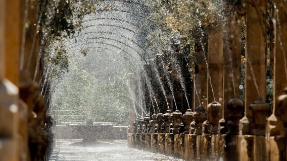 Sóller: Eintrittskarte für die Jardines de Alfabia