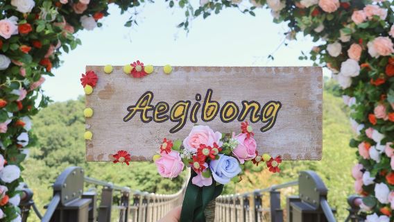 Di Sempadan dan Keamanan | Lawatan Setengah Hari ke Puncak Aegibong DMZ