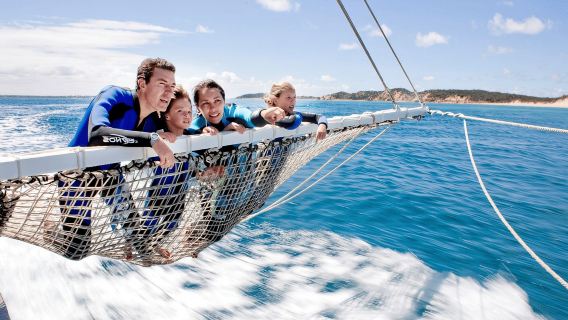 Queenscliff Harbour: 3.5hr Seal & Dolphin Snorkelling Tour