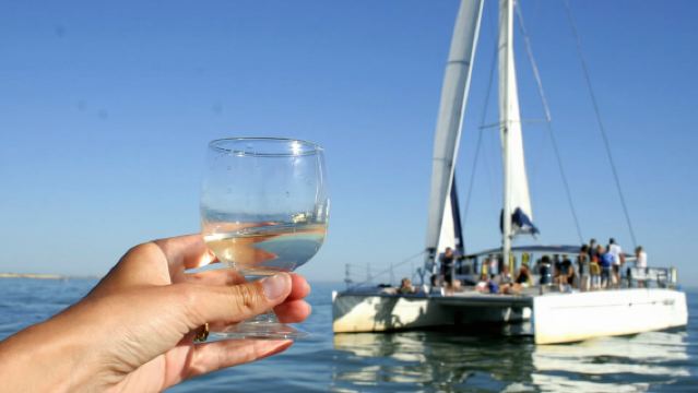 La Rochelle : Croisière en catamaran