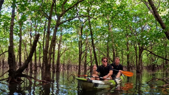 Pulau Iriomote: Tur SUP atau Kano di Sungai Mangrove