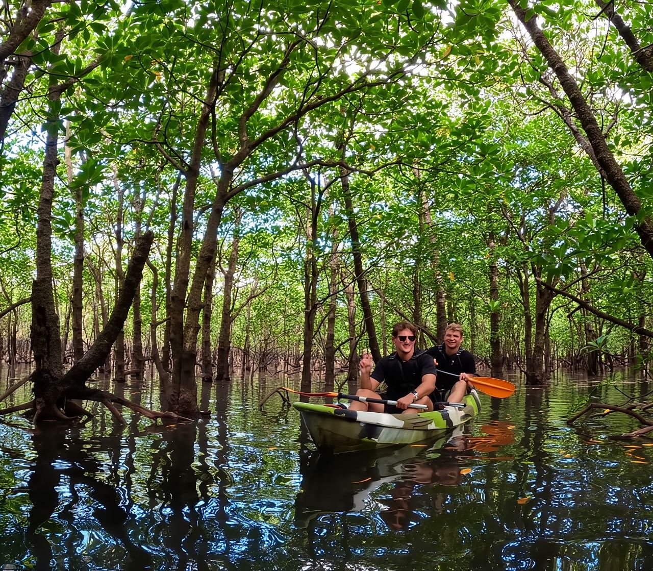 Iriomote island: Mangrove River SUP or Canoe Cruising Tour