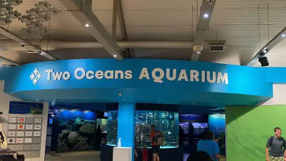 ทัวร์ชิมไวน์และชมนกโลกของพิพิธภัณฑ์สัตว์น้ำ Two Oceans