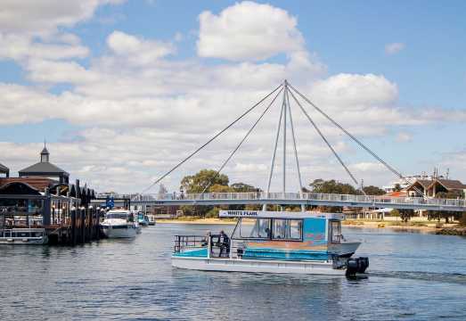 Mandurah Sightseeing Dolphin Cruise with Tour Guide: What to Expect Before You Book