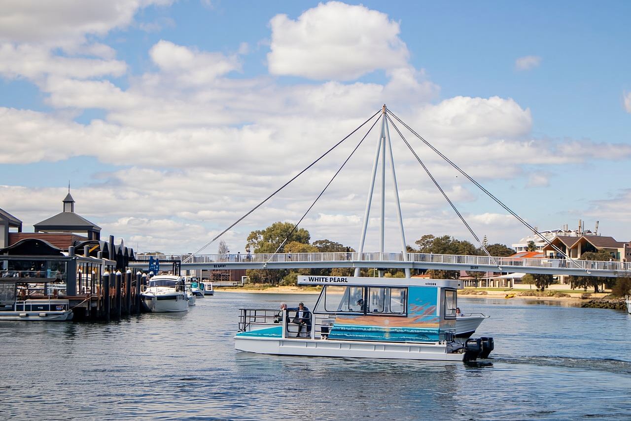 Mandurah: Sightseeing Dolphin Cruise with Tour Guide