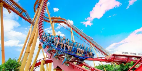 廣州長隆歡樂世界一日遊【嗨翻長隆+門票暢玩@親子遊私家團】