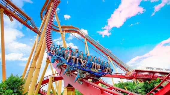 廣州長隆歡樂世界一日遊【嗨翻長隆+門票暢玩@親子遊私家團】