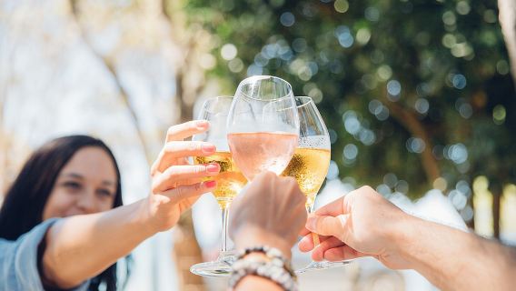 Waiheke Island Wine Tour with Scenic Vineyards & Tastings