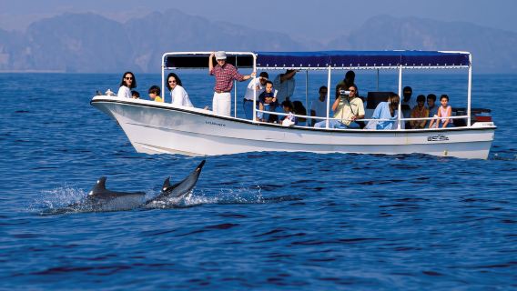 Muscat Snorkeling + Dolphin Watching 1-Day Tour [Guide + Transfer]