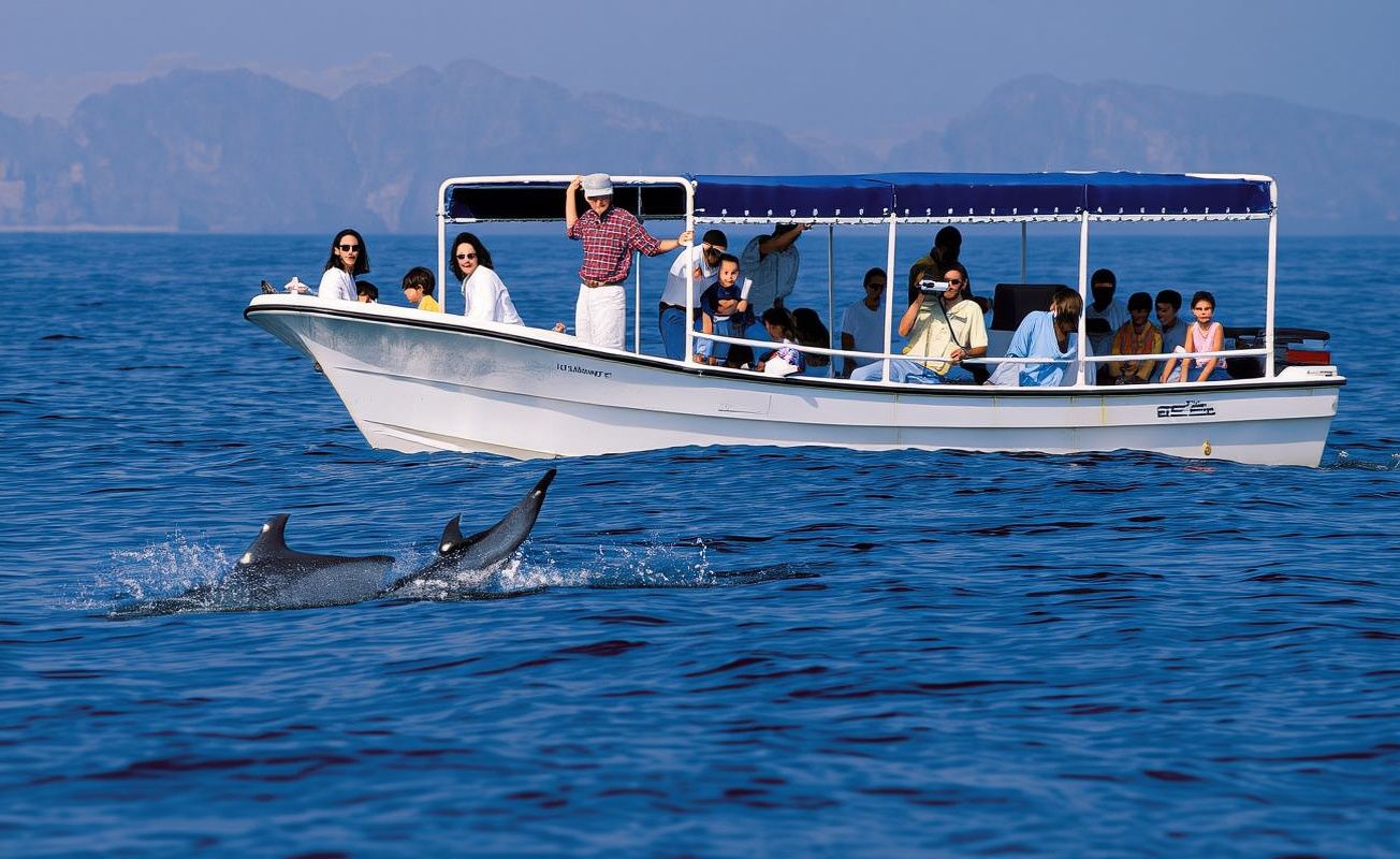 Muscat Snorkeling + Dolphin Watching 1-Day Tour [Guide + Transfer]