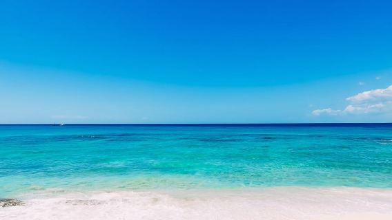Punta Cana: Full Day Boat Trip to Catalina Island with Lunch