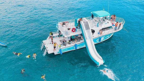 Oahu Dolphin Tour & Snorkel (Waikiki P/U, Lunch, Hawaiian Hula)