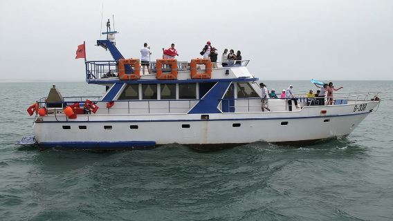 Boat Tours in Agadir lunch including ( sea food )