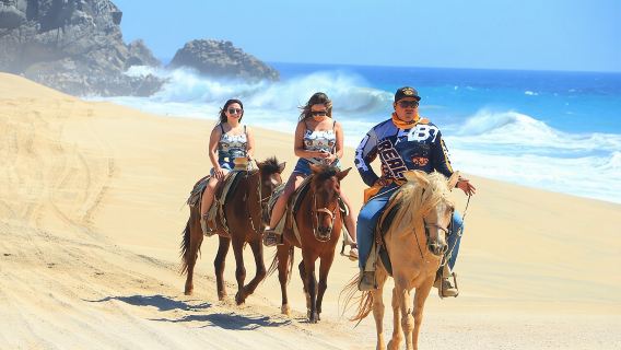 Cabo White Sand Horseback Riding Tour and Tequila Tasting