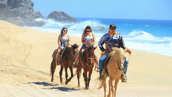 Cabo White Sand Horseback Riding Tour and Tequila Tasting 
