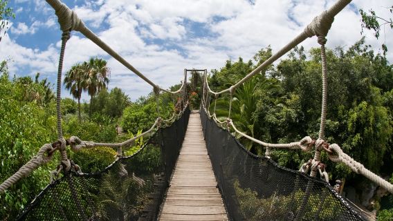 Jungle Park: Entry Ticket