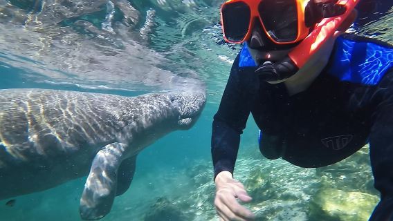 ทัวร์ว่ายน้ำกับพะยูนพร้อมช่างภาพใต้น้ำ