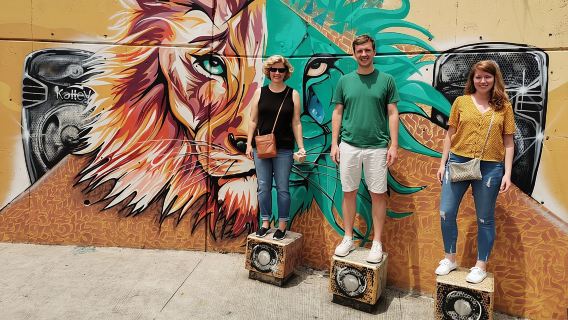 Comuna 13 + Degustazione di frutta colombiana e funivia: tour privato