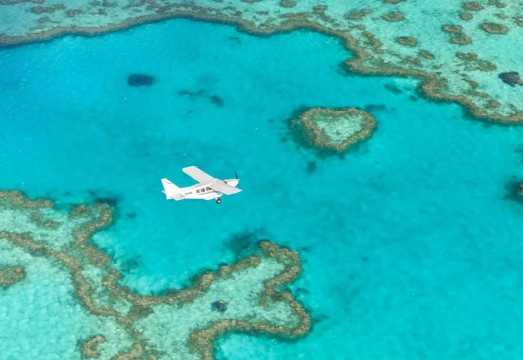 Whitsundays Heart Reef + Whitehaven Beach + Hill Inlet 50–60 min scenic flight (departing from Hamilton Island with pickup available) AUD 421.74