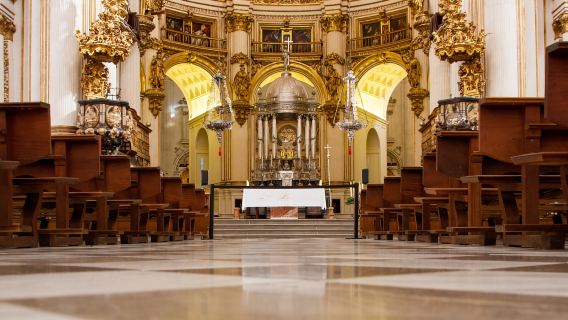 Испания + дворец Альгамбра + Гранадский собор + однодневный тур в дворец Дженелла