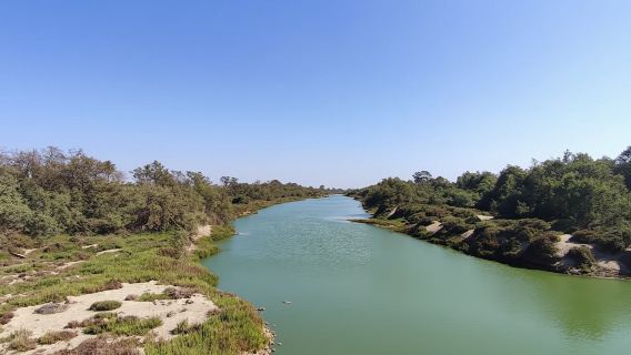 Full-Day Souss-Massa National Park in a 4x4 with Authentic Lunch