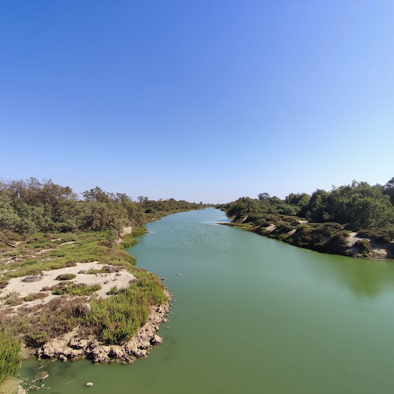 Full-Day Souss-Massa National Park in a 4x4 with Authentic Lunch