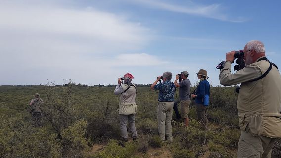 Full-Day Excursion to Peninsula Valdes From Puerto Madryn