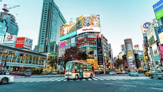 Tokyo Private Guided Tour with Hotel Pickup and Drop off