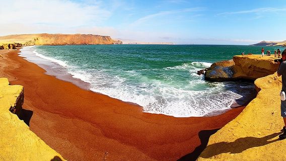 Riserva Nazionale di Paracas in autobus turistico