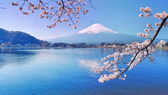 TokyoTravel Services