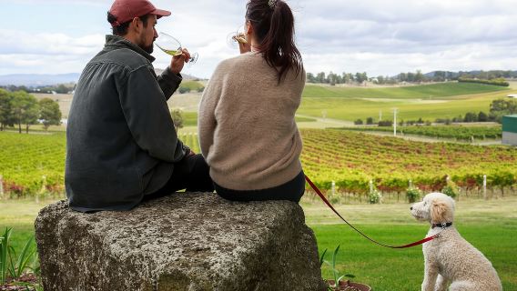 Australia Yarra Valley & Dandenongs Ranges Food and Wine day tour (includes multiple famous wineries and lunch)