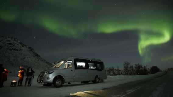 Tromso Aurora Bonfire with Cinnamon Cake and Marshmallow Roast