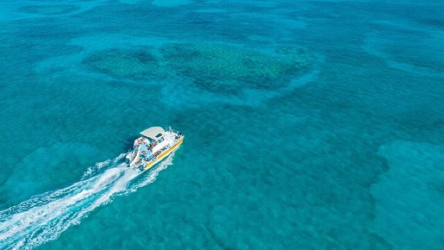 Afternoon Half Day Cruise from Providenciales with Snorkeling and Iguana Island