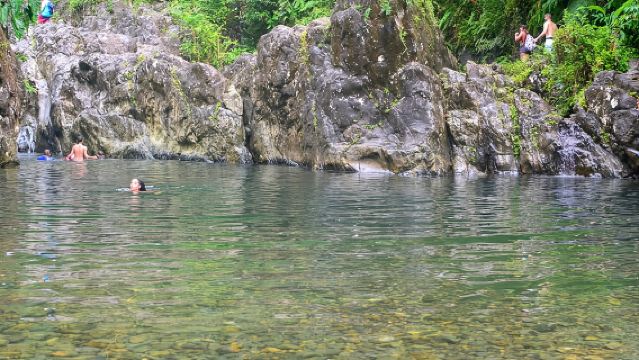 Small-Group El Yunque Rainforest Vivid Day Tour with Transport