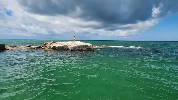 Boat tour with Watersports and snorkeling near st pete beach