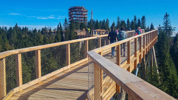 From Krakow: Slovakia Treetop Walk, Zakopane & Thermal Spa