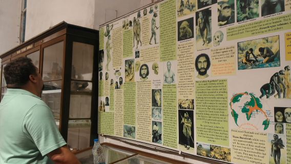 Kolkata: Guided Heritage Walking Tour