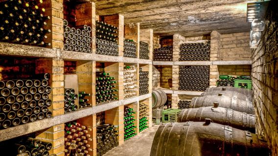 Từ Porto: Thung lũng Douro với Tour thuyền, Thử rượu vang & Ăn trưa