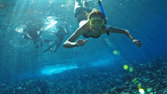 Los Arcos : excursion de snorkeling à Los Arcos et à Madagascar